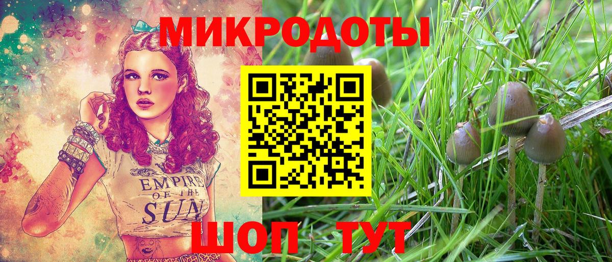 Псилоцибиновые грибы прущие грибы Щёлково