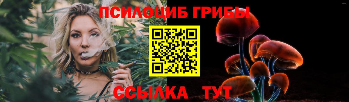 Щёлково  Псилоцибиновые грибы Psilocybine cubensis  Вход с VPN 